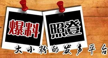 宜昌新闻网爆料台,聚焦民生热点,传递社会声音 第1张 宜昌新闻网爆料台,聚焦民生热点,传递社会声音 第1张