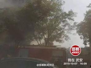 天津公园爆料事件视频,惊人一幕引发社会关注 第3张 天津公园爆料事件视频,惊人一幕引发社会关注 第3张